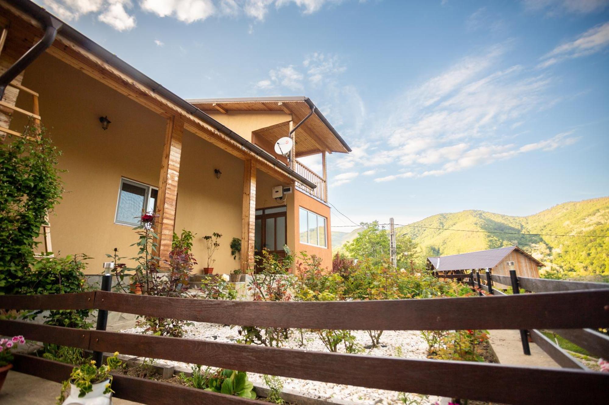 Casa Rumelia Paltineni Екстериор снимка